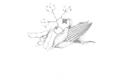 Carolina Clarity NC