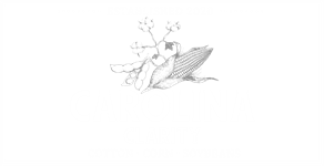 Carolina Clarity NC